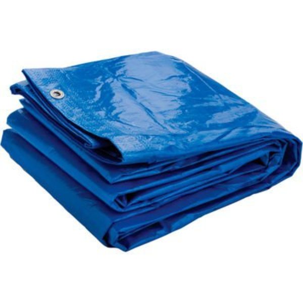 Haz Mat Dqe, Inc. Inland Economy Ground Tarp HM1030